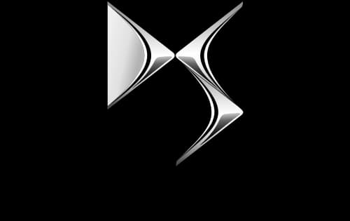 ds logo